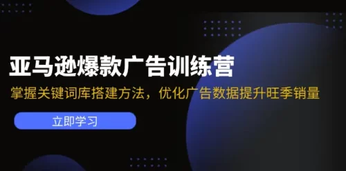 亚马逊爆款广告训练营：掌握关键词库搭建方法，优化广告数据提升旺季销量-VAM资源
