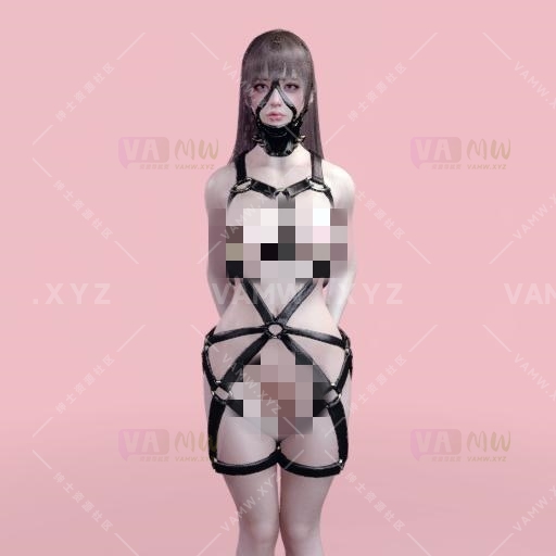 图片[91]-[VAM衣服预设]110套衣服（预设一键使用+依赖包）8.46G - VAM资源-VAM资源