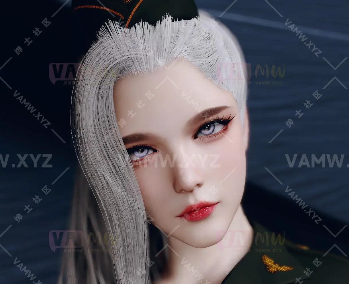 Dmoold.帝国荣耀.1 - VAM资源-VAM资源