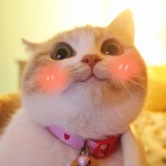 waldotindale的头像-VAM资源